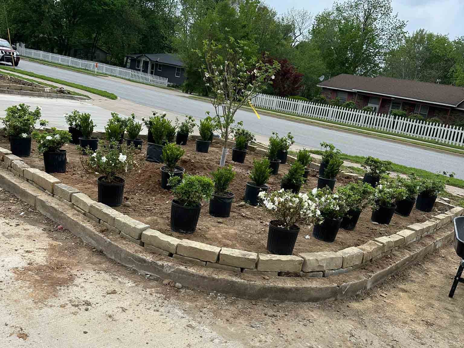 Luchos Tree Services