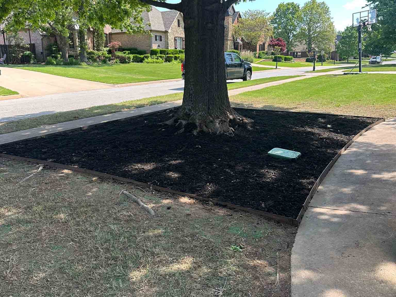 Luchos Tree Services