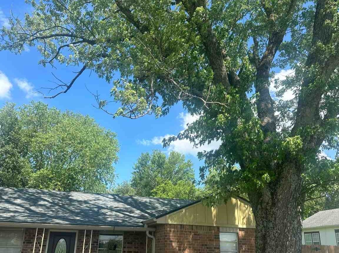 Luchos Tree Services