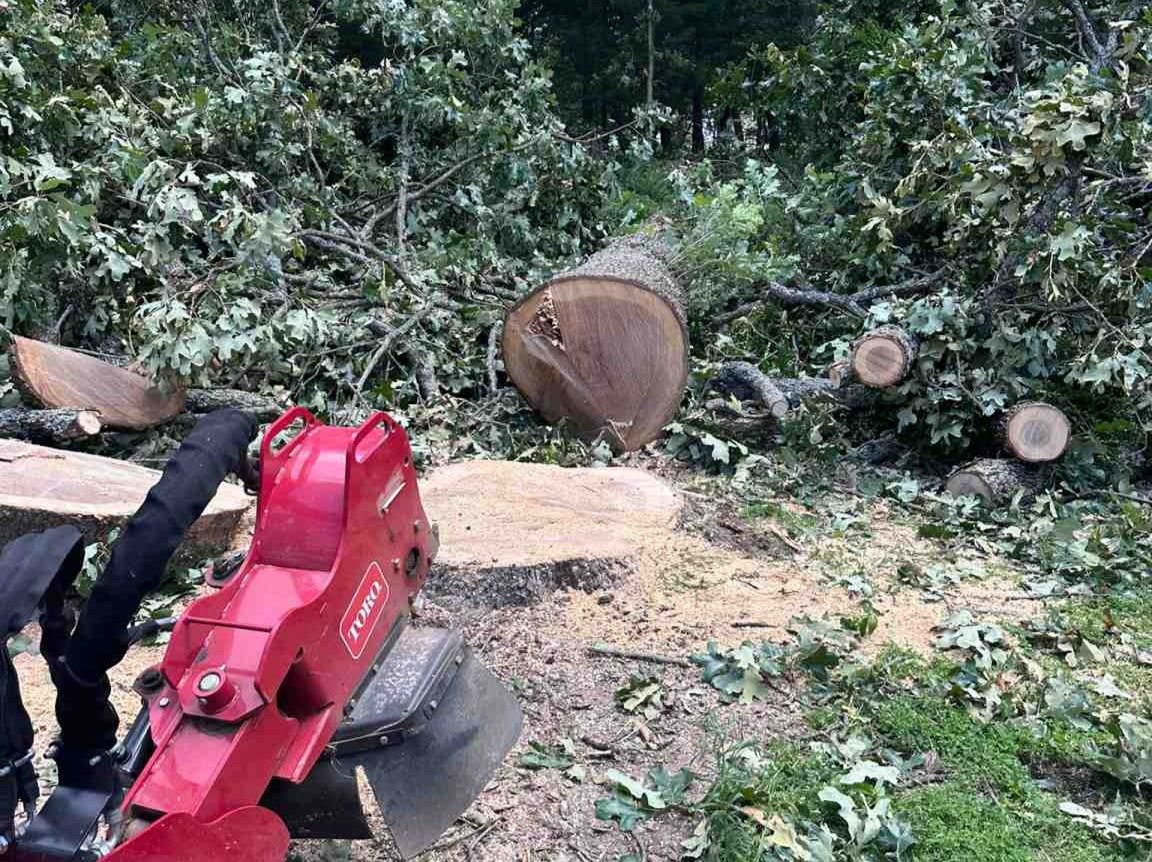 Luchos Tree Services