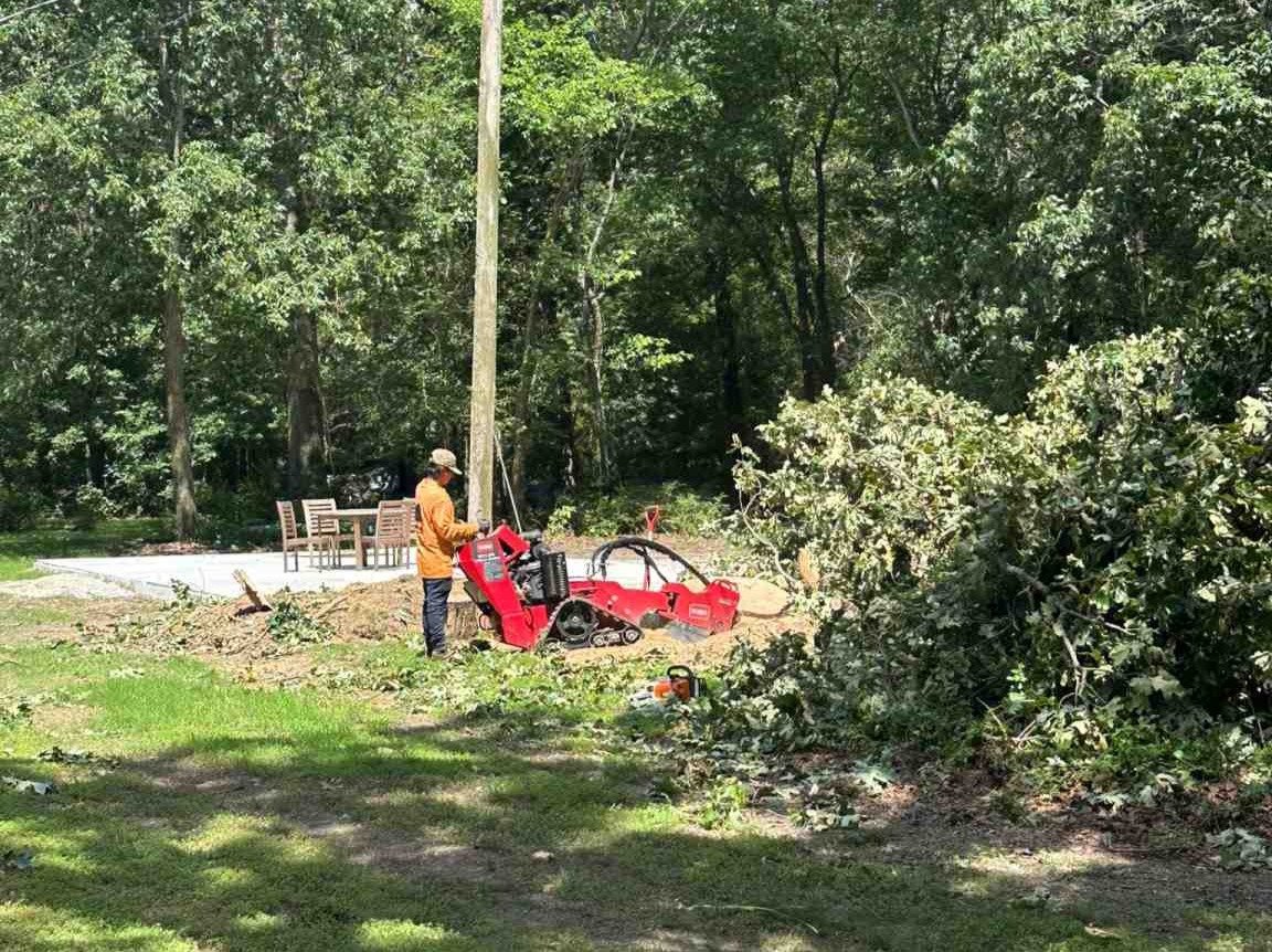 Luchos Tree Services