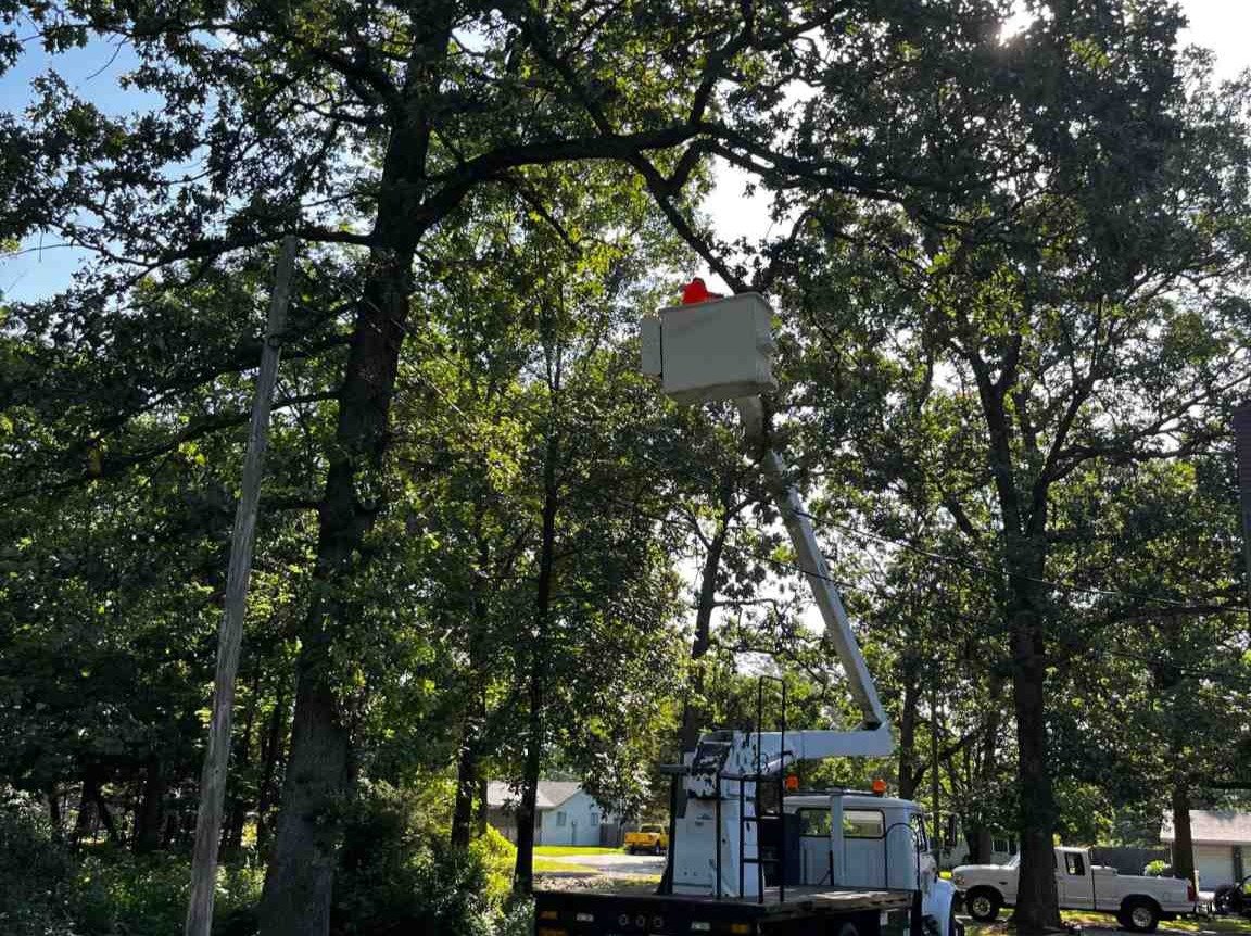 Luchos Tree Services