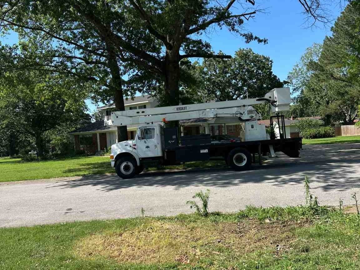 Luchos Tree Services