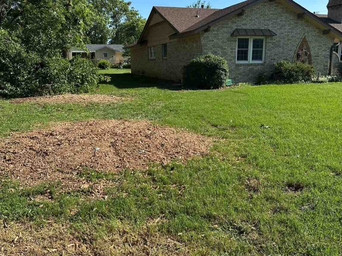 Luchos Tree Services