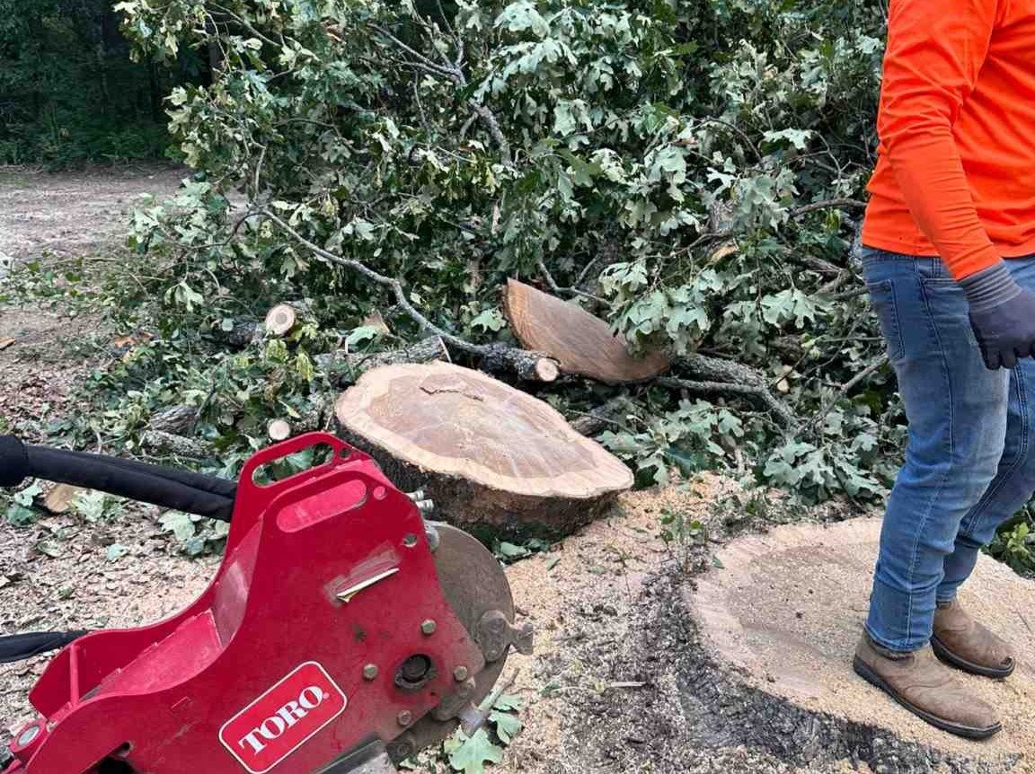 Luchos Tree Services