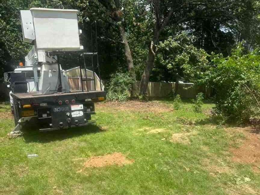 Luchos Tree Services