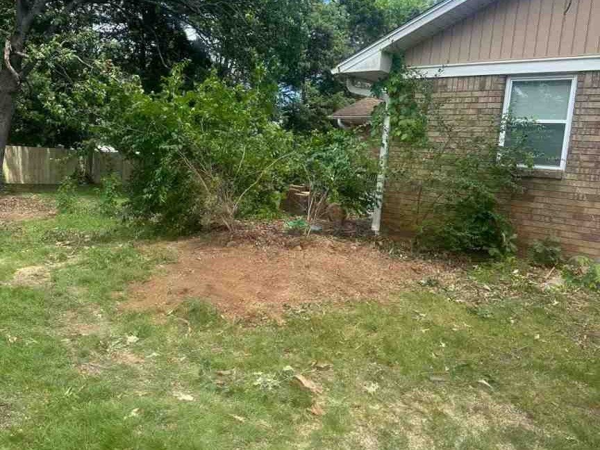 Luchos Tree Services