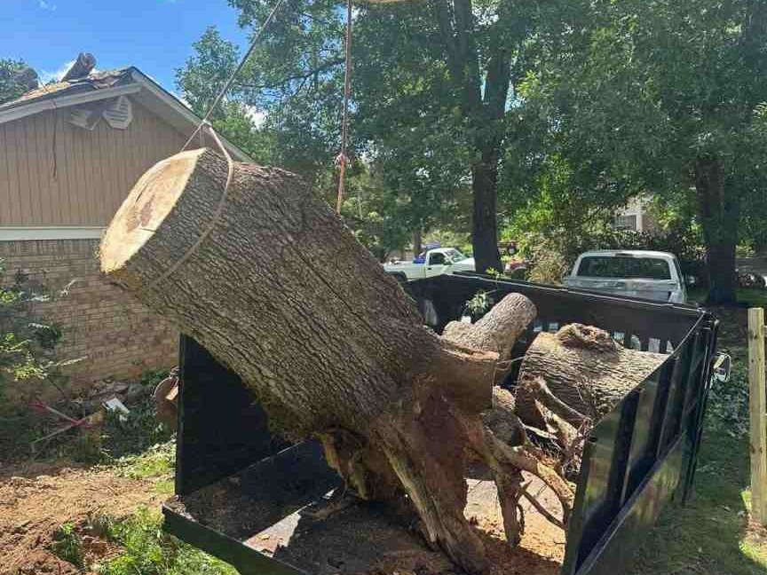 Luchos Tree Services