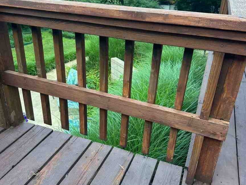 Luchos Tree Services