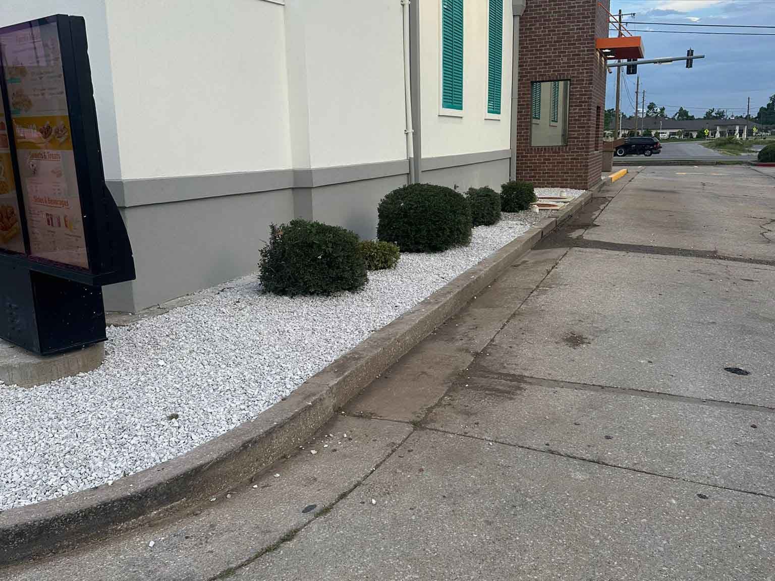 Luchos Tree Services