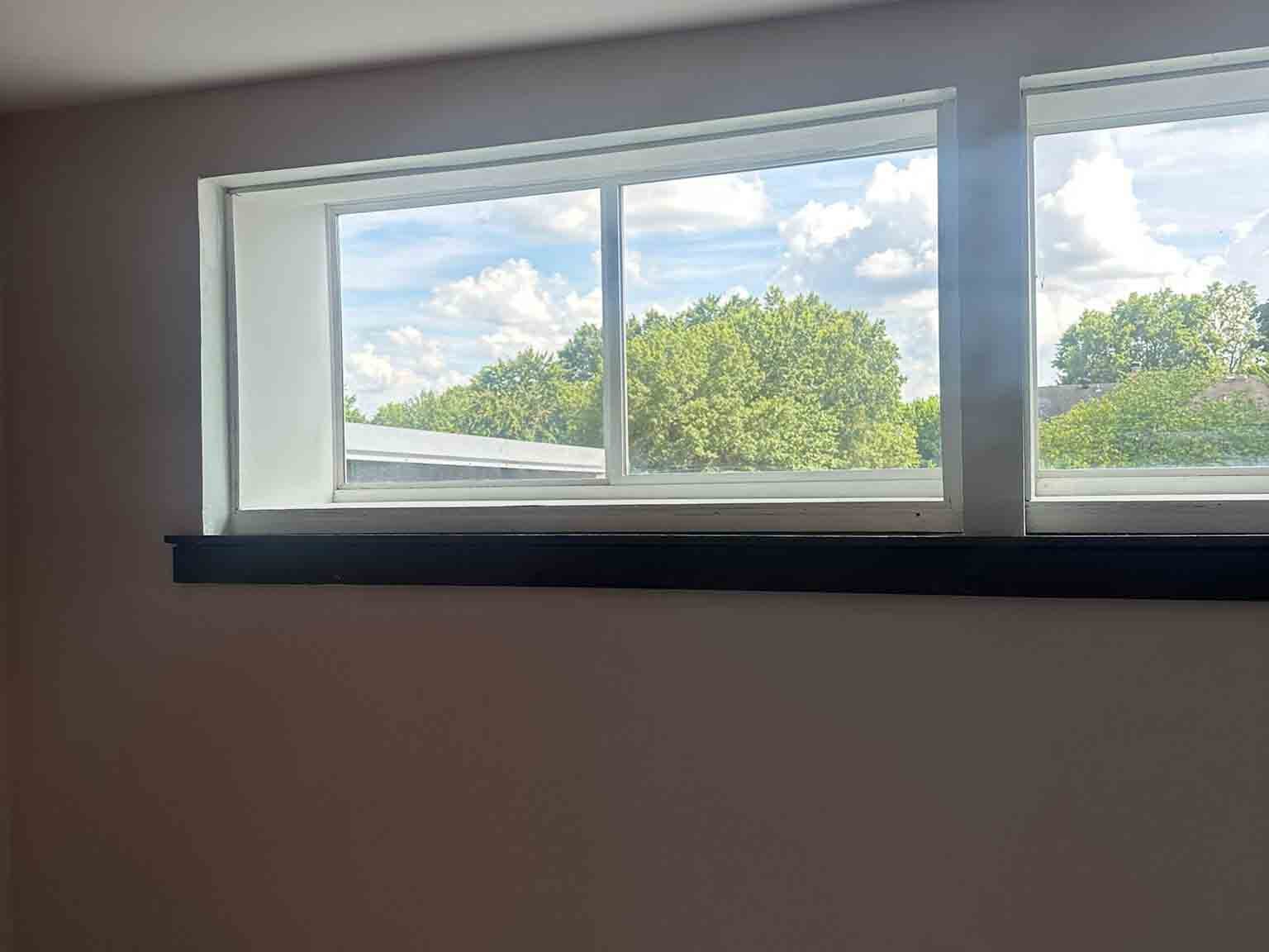 Luchos Tree Services