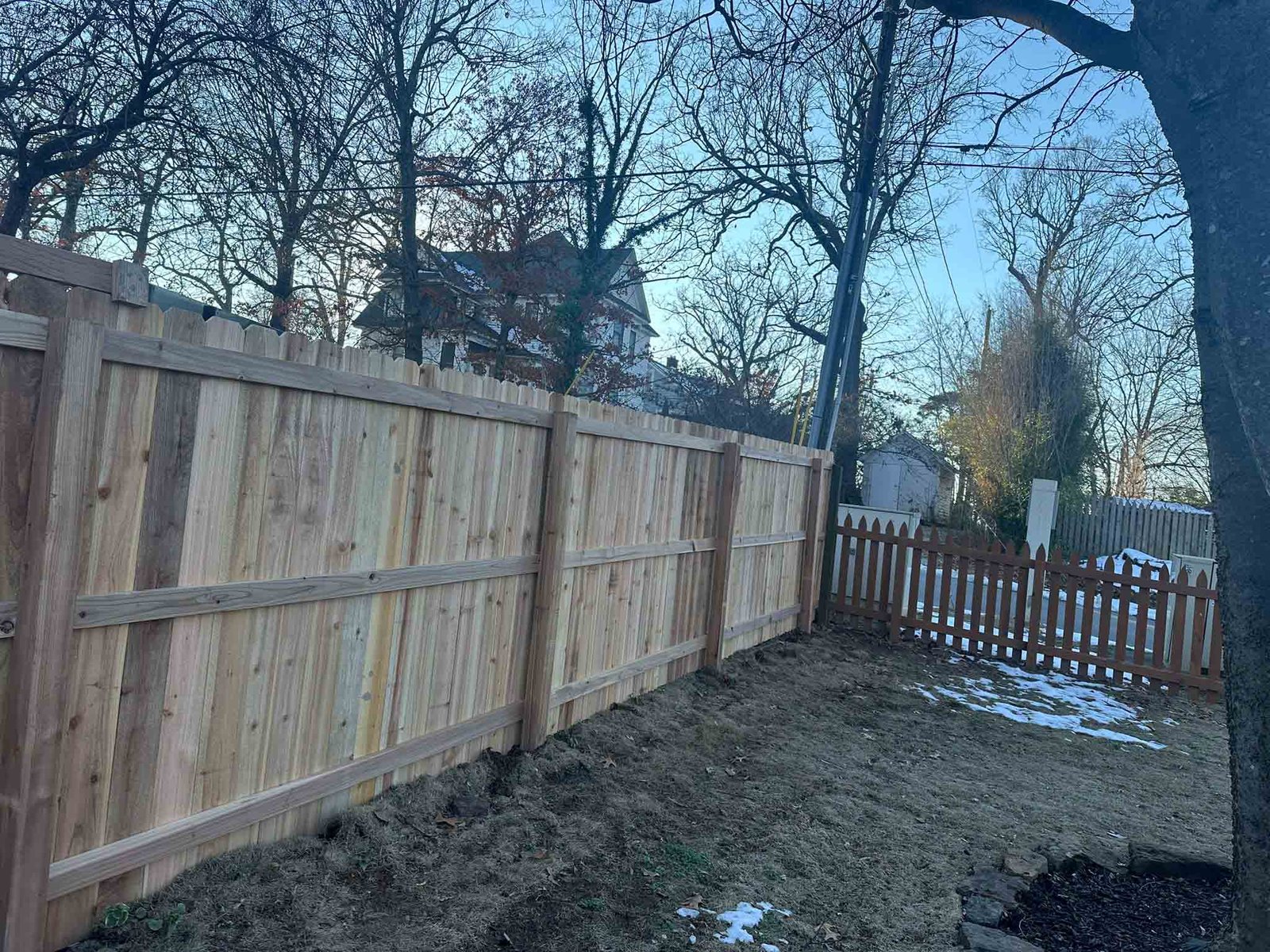 Luchos Tree Services