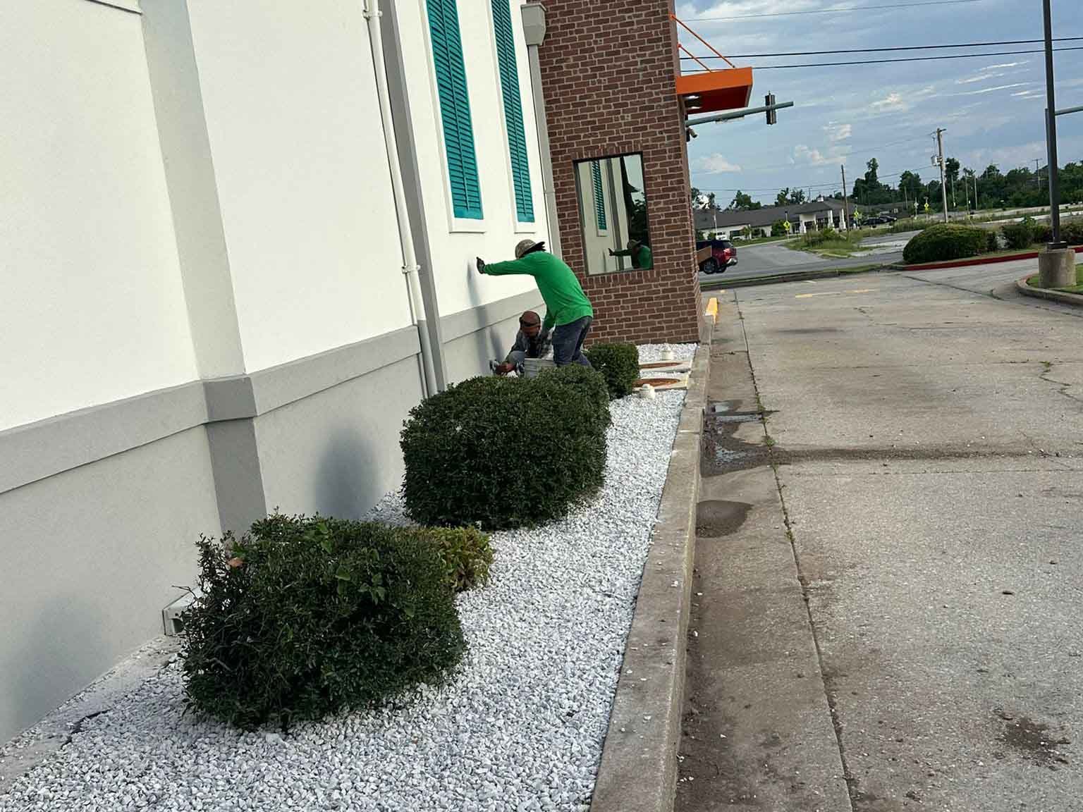 Luchos Tree Services