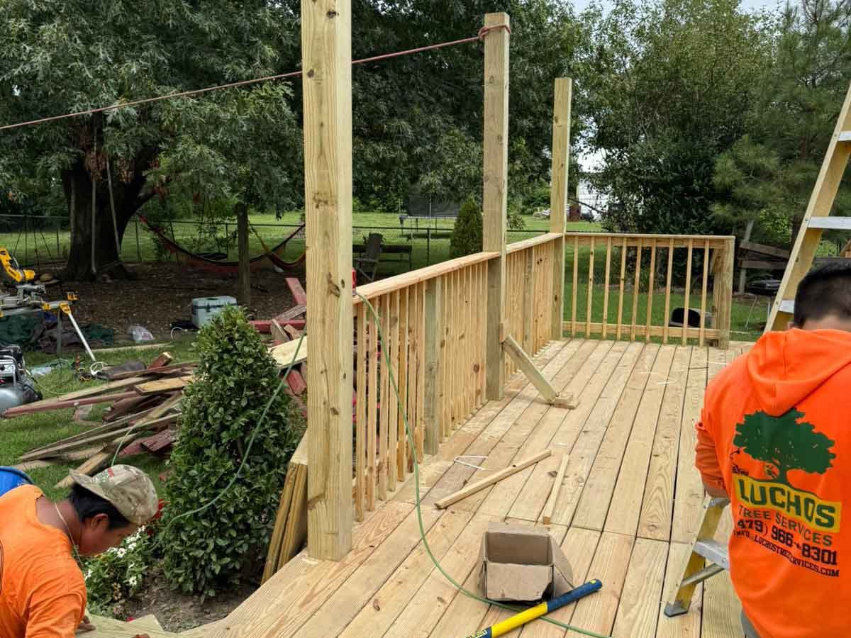 Luchos Tree Services