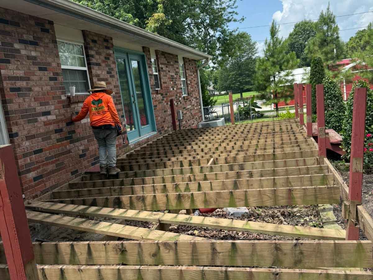 Luchos Tree Services