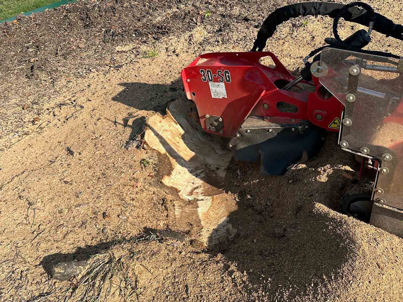 Luchos Tree Services