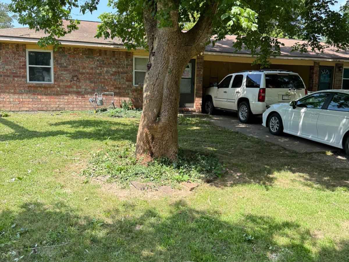 Luchos Tree Services