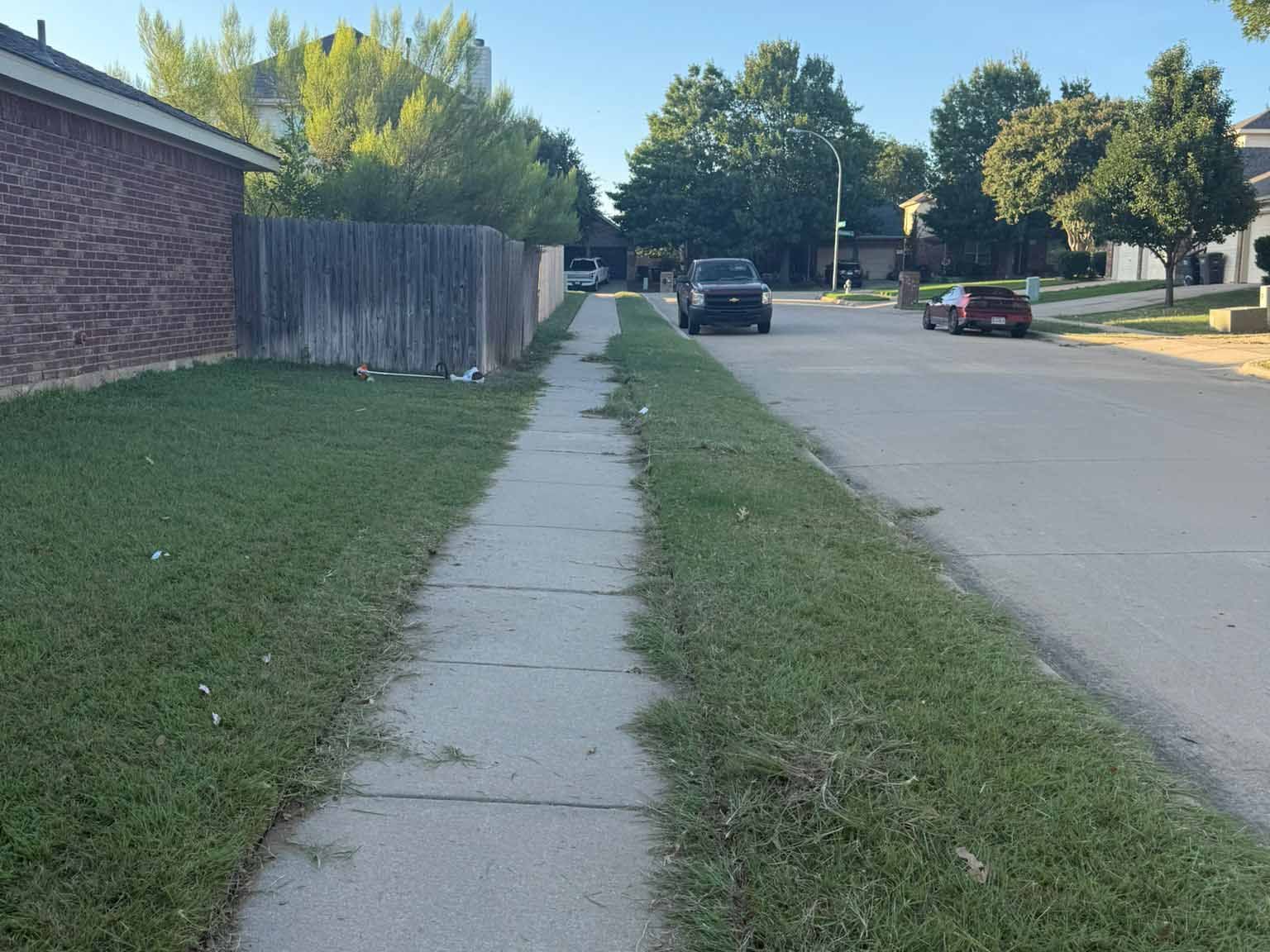 Luchos Tree Services