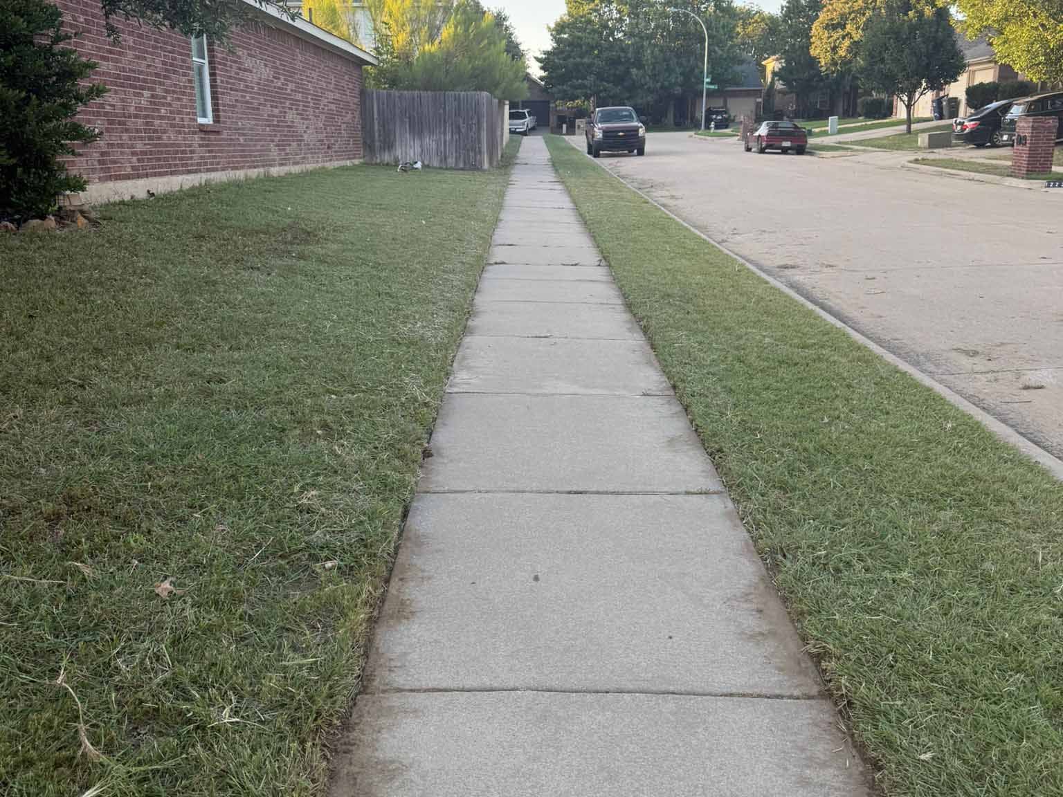 Luchos Tree Services