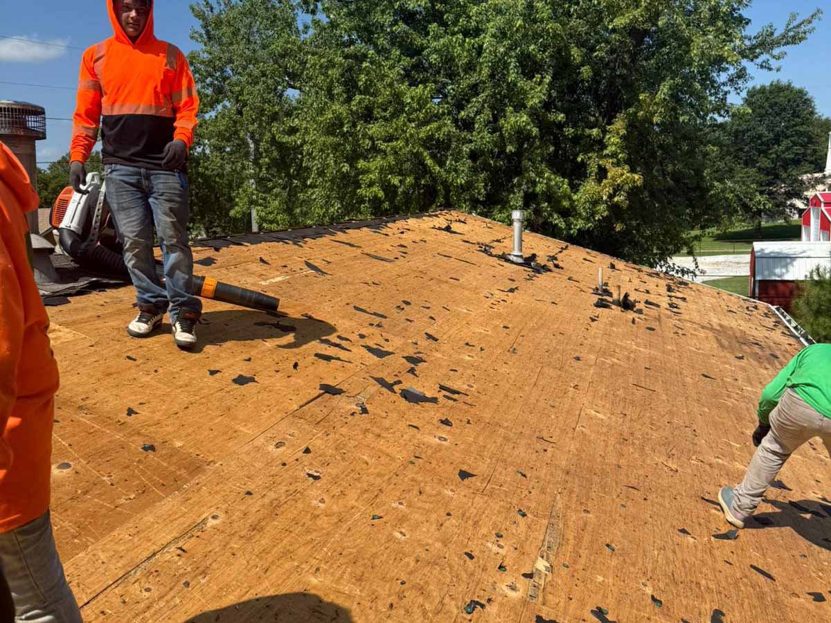 Luchos Tree Services