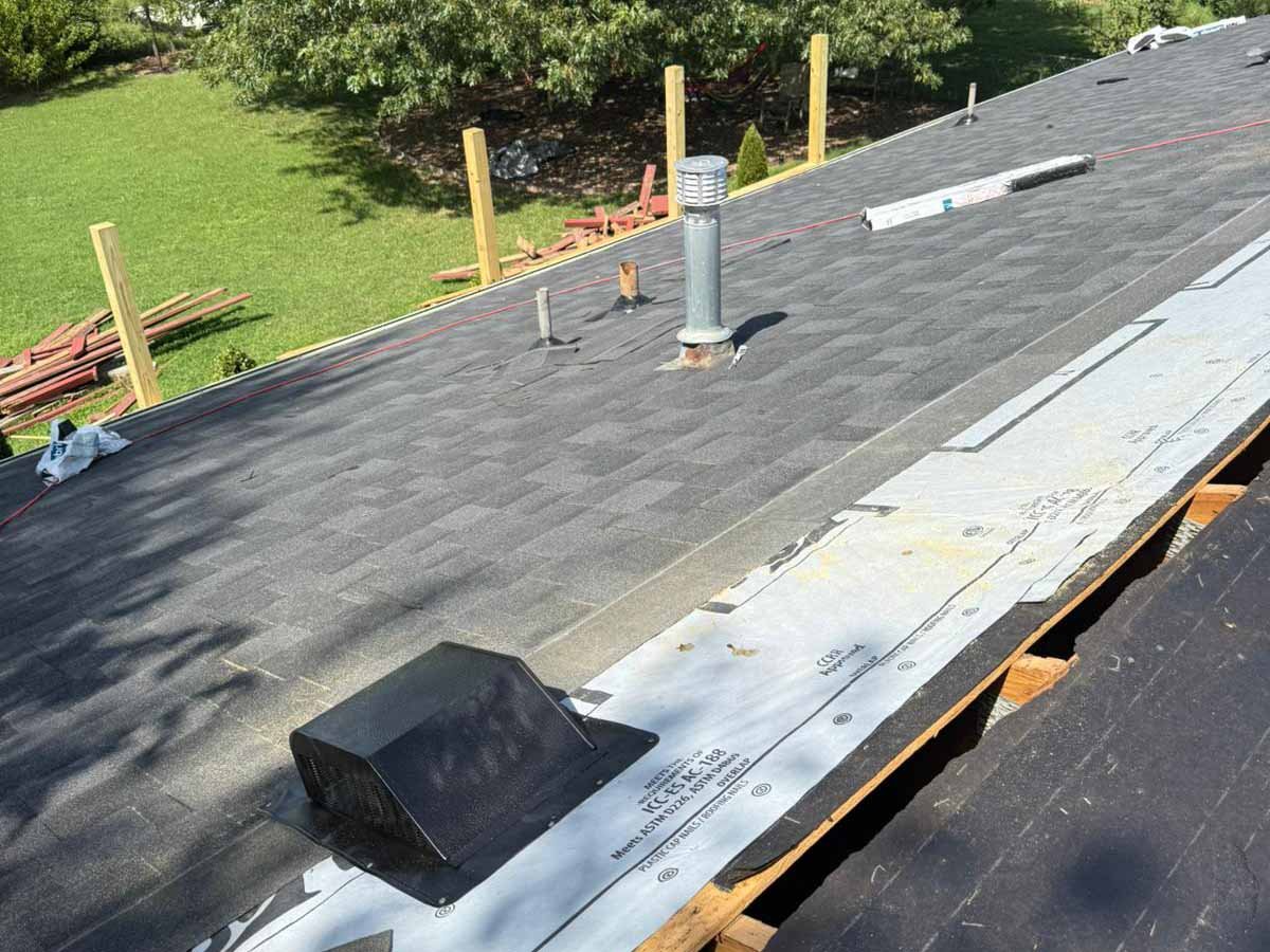 Luchos Tree Services