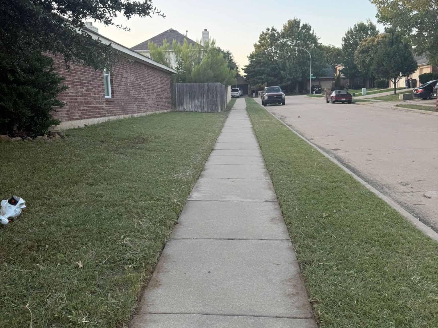 Luchos Tree Services