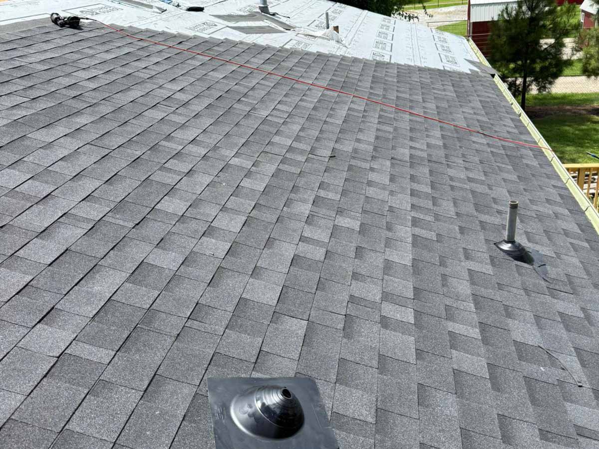 Luchos Tree Services