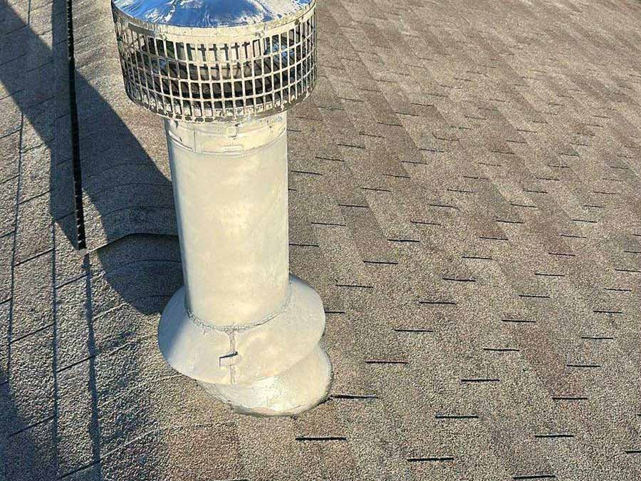 Luchos Tree Services