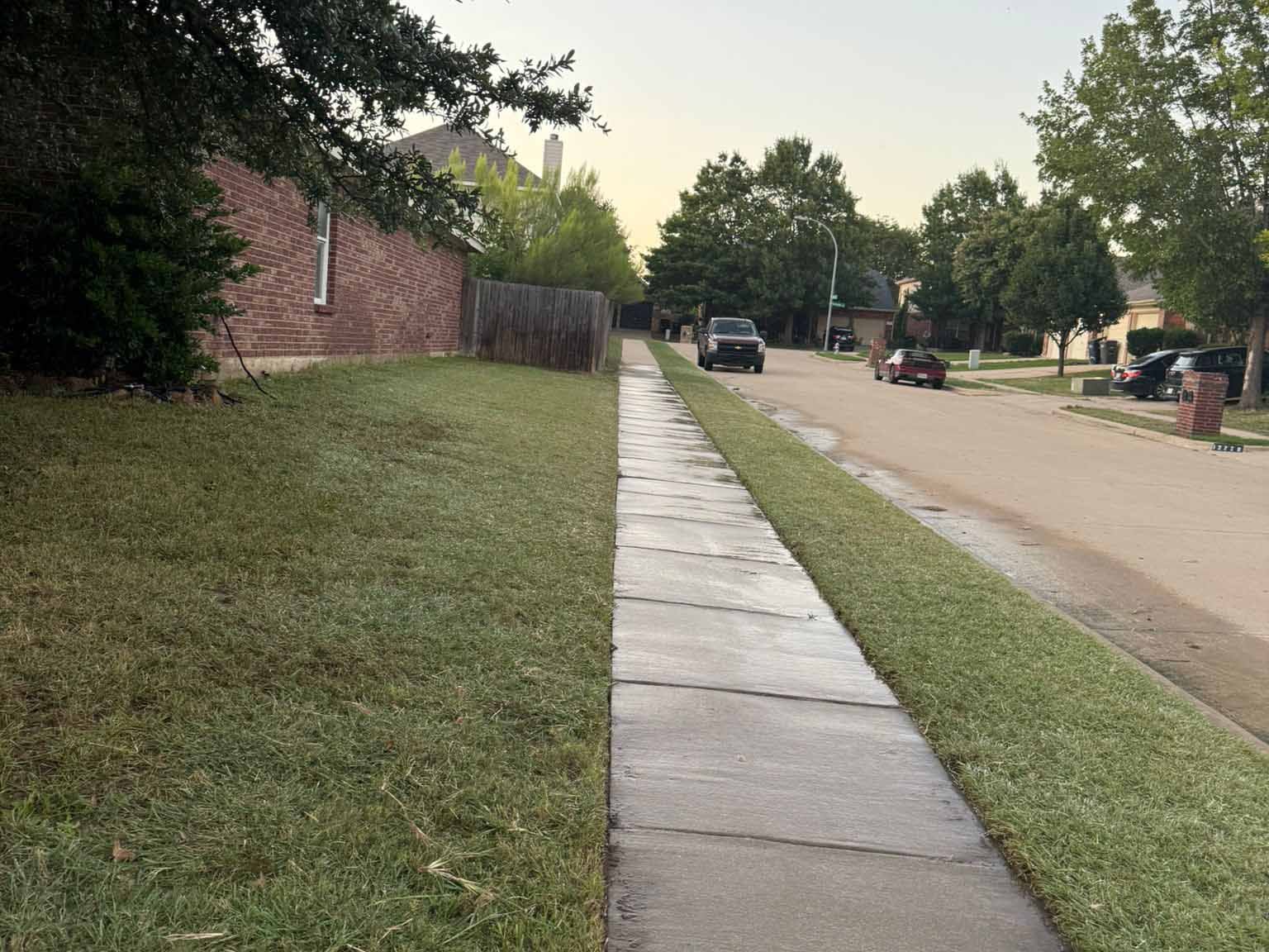 Luchos Tree Services