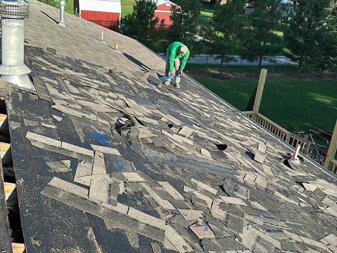 Luchos Tree Services