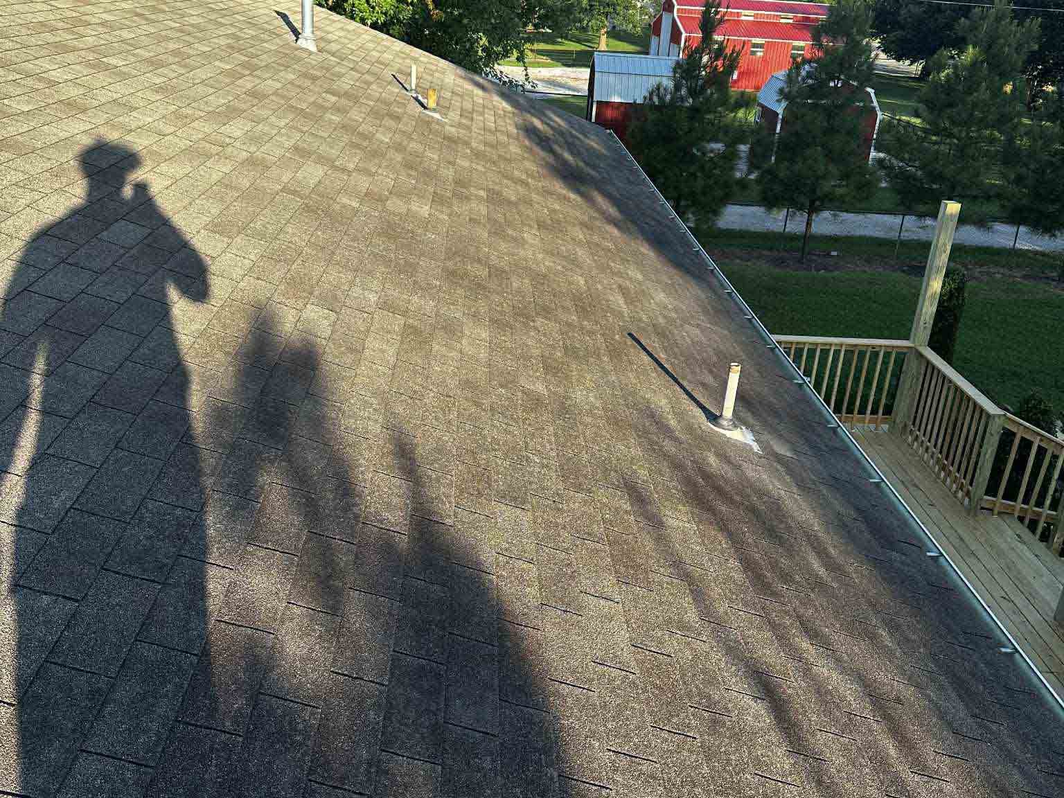 Luchos Tree Services