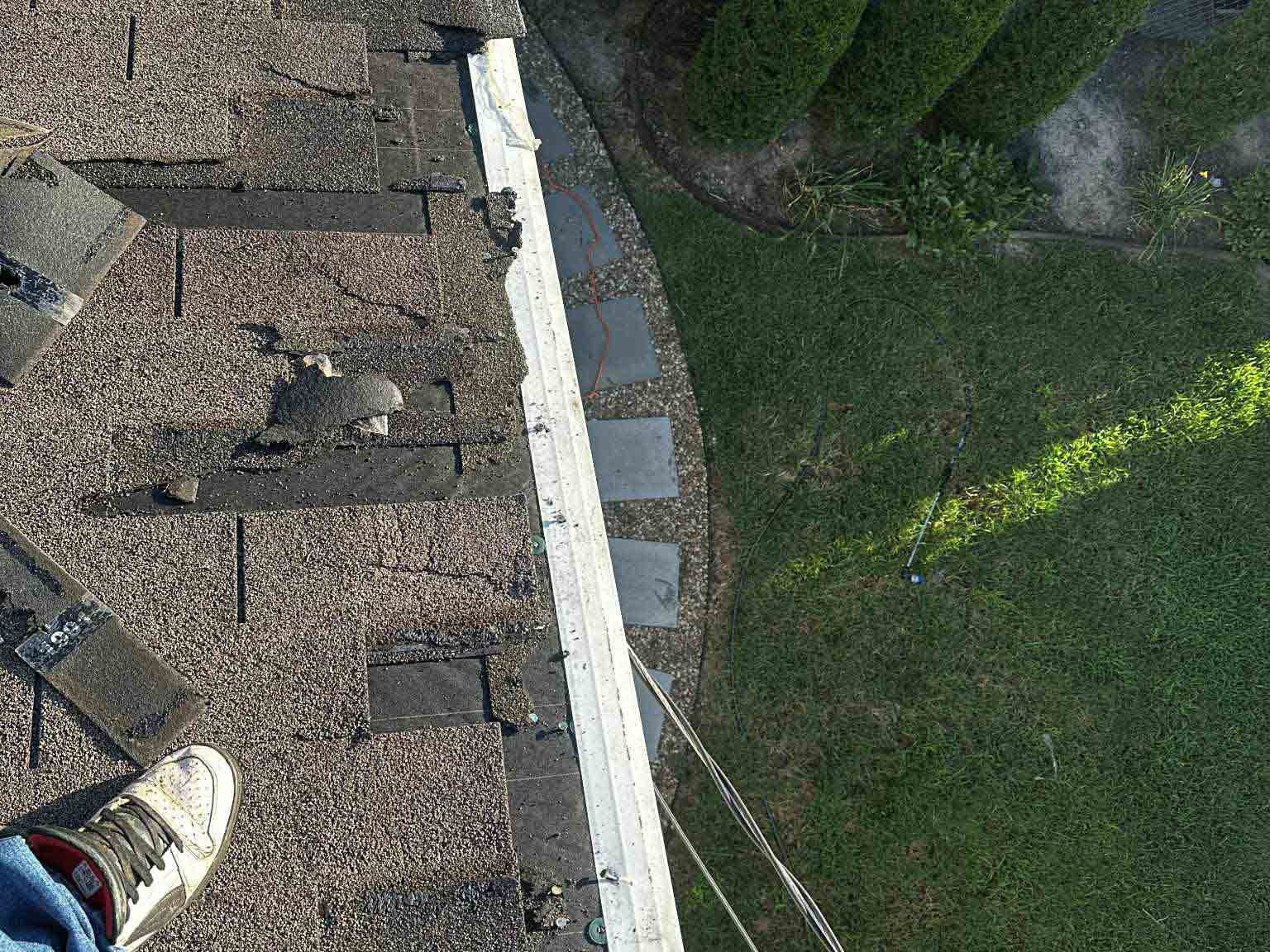 Luchos Tree Services