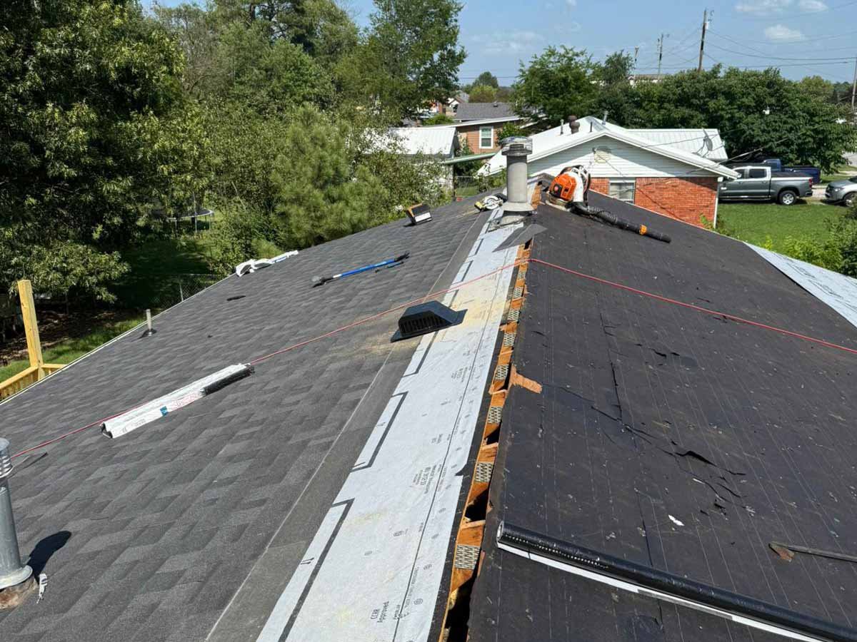 Luchos Tree Services