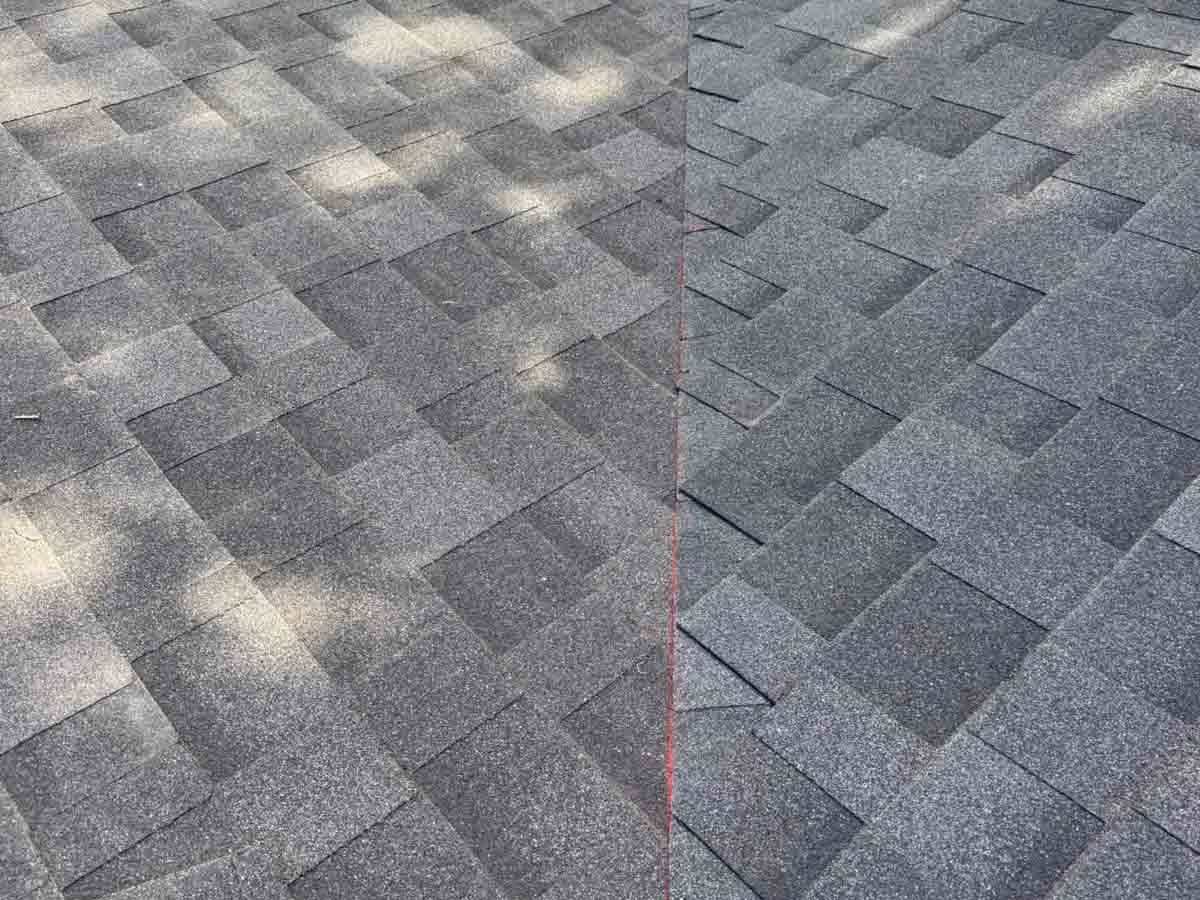 Luchos Tree Services