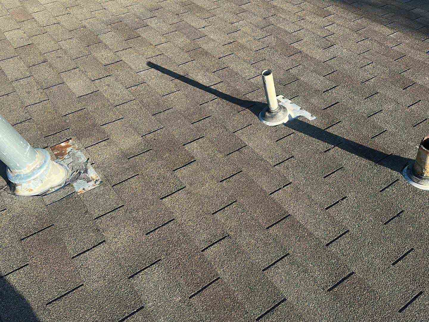 Luchos Tree Services