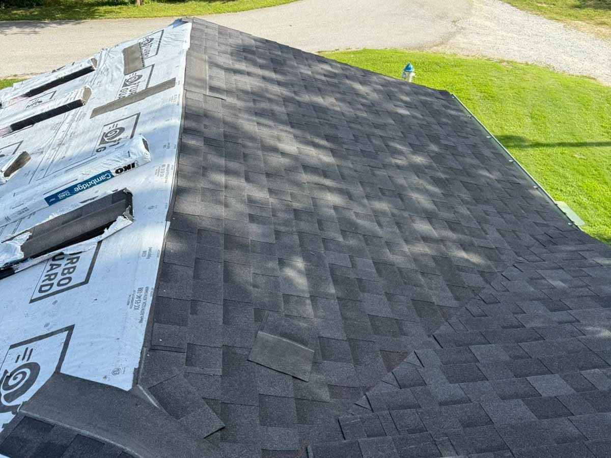 Luchos Tree Services