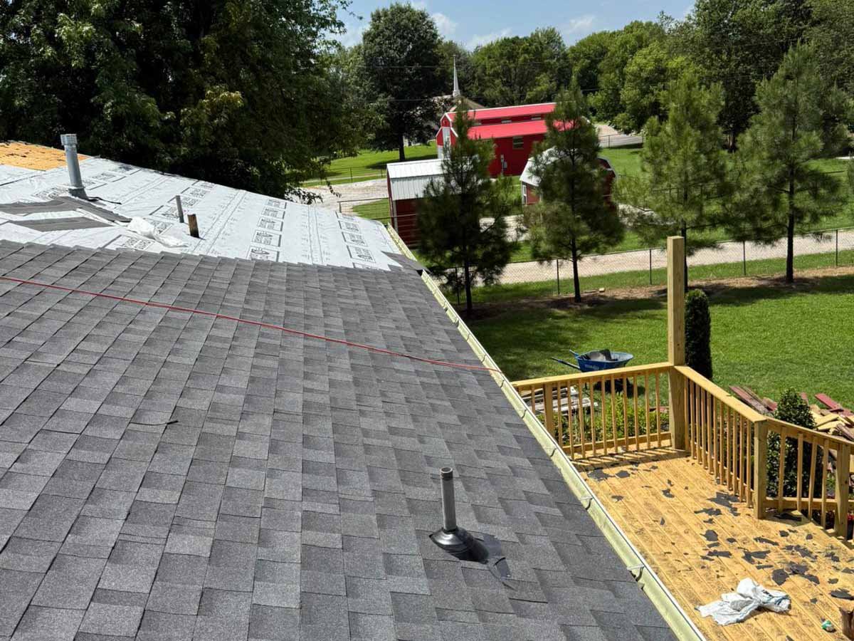 Luchos Tree Services