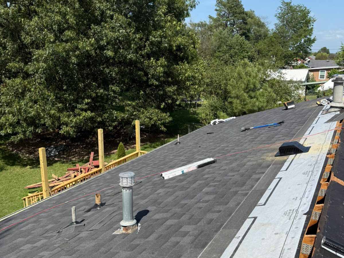 Luchos Tree Services