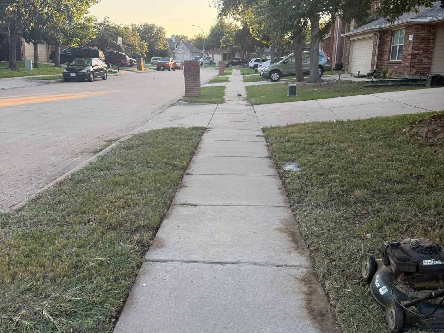 Luchos Tree Services