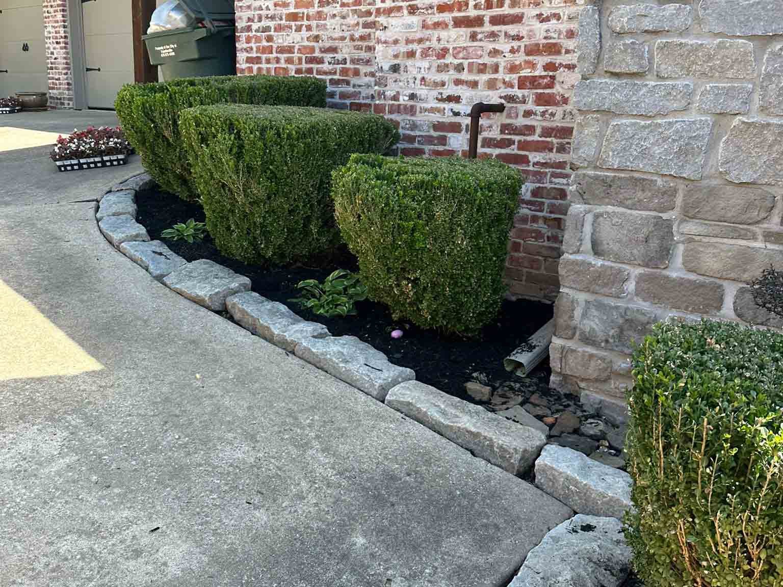 Luchos Tree Services