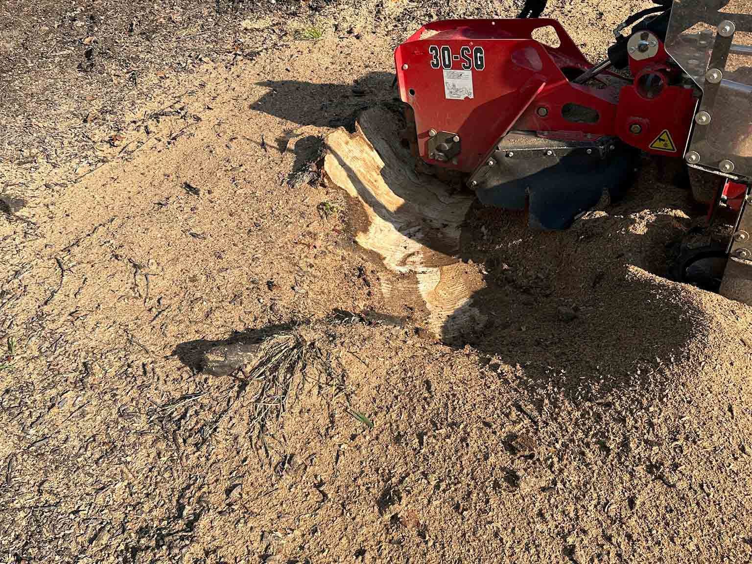 Luchos Tree Services