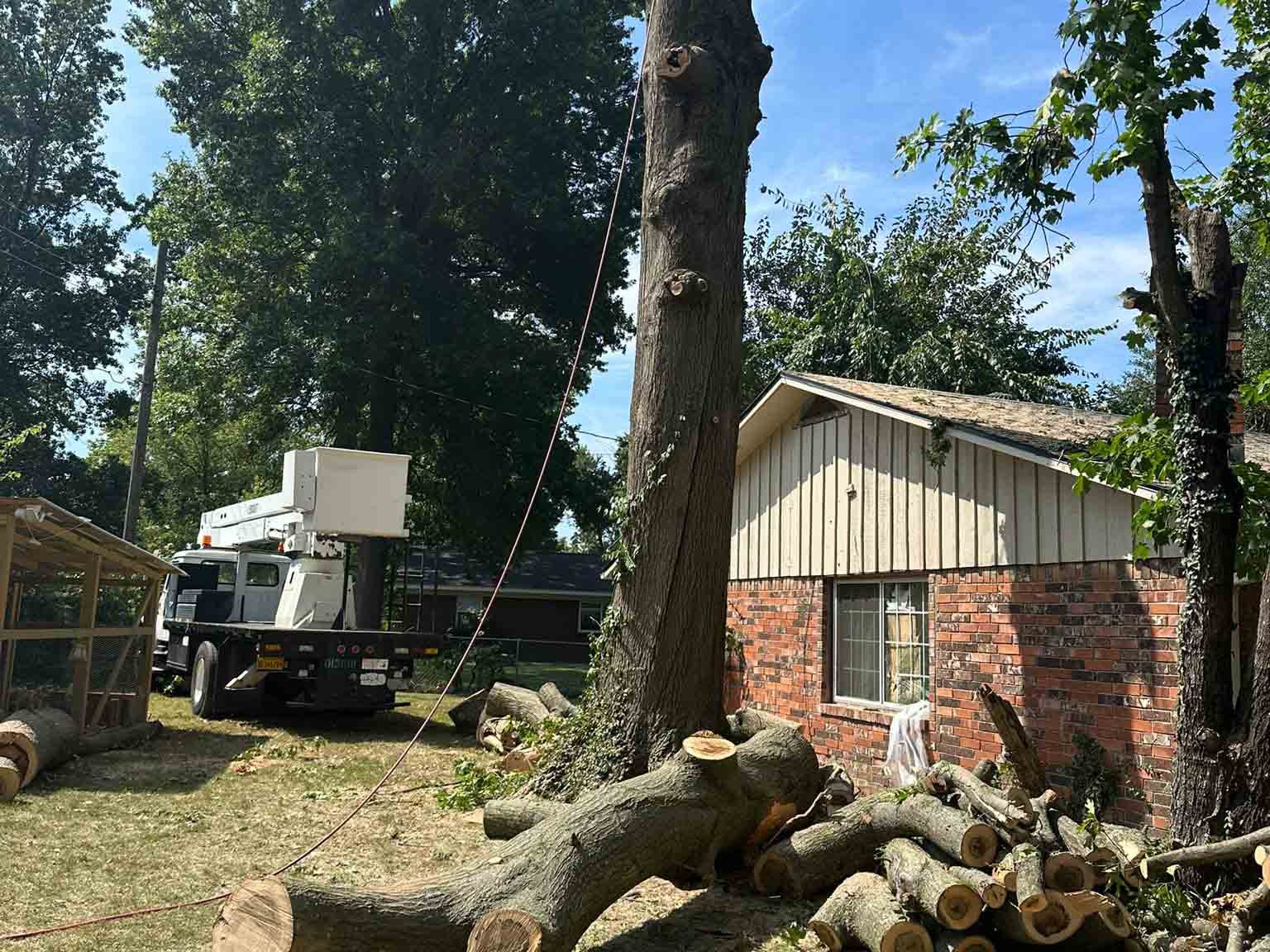 Luchos Tree Services