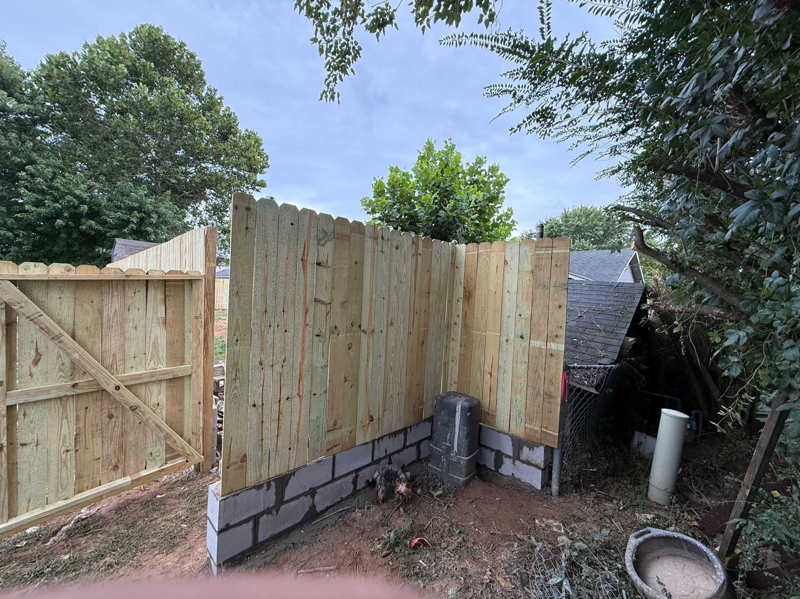 Luchos Tree Services