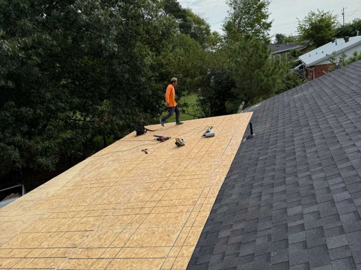 Luchos Tree Services