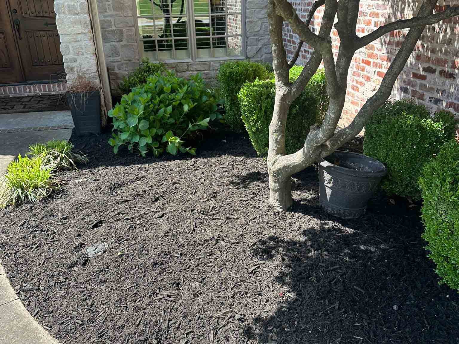 Luchos Tree Services