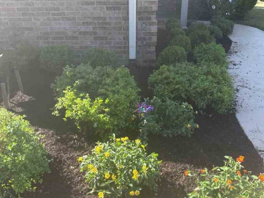 Luchos Tree Services