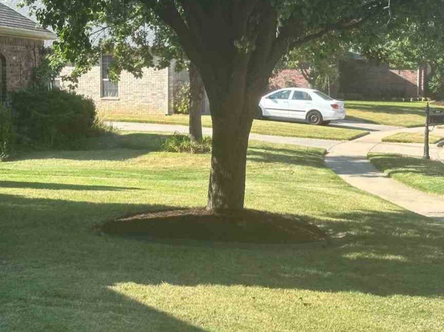 Luchos Tree Services