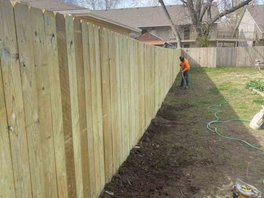 Luchos Tree Services