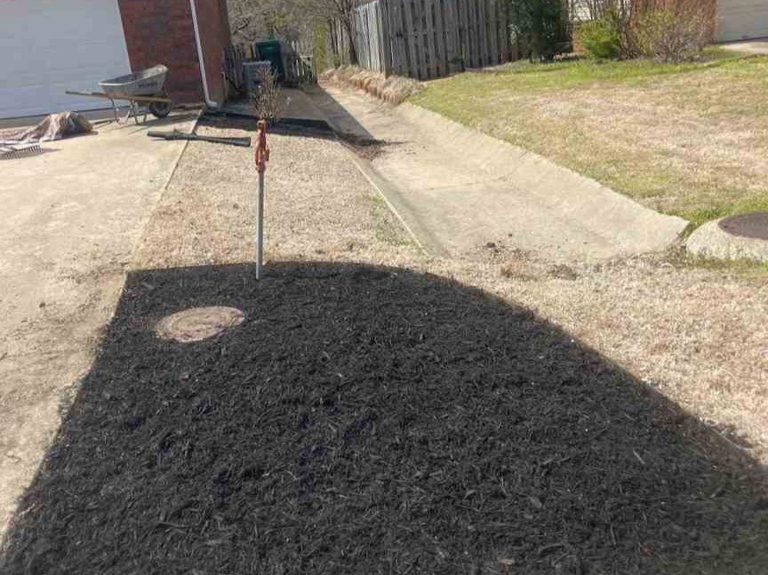 Luchos Tree Services