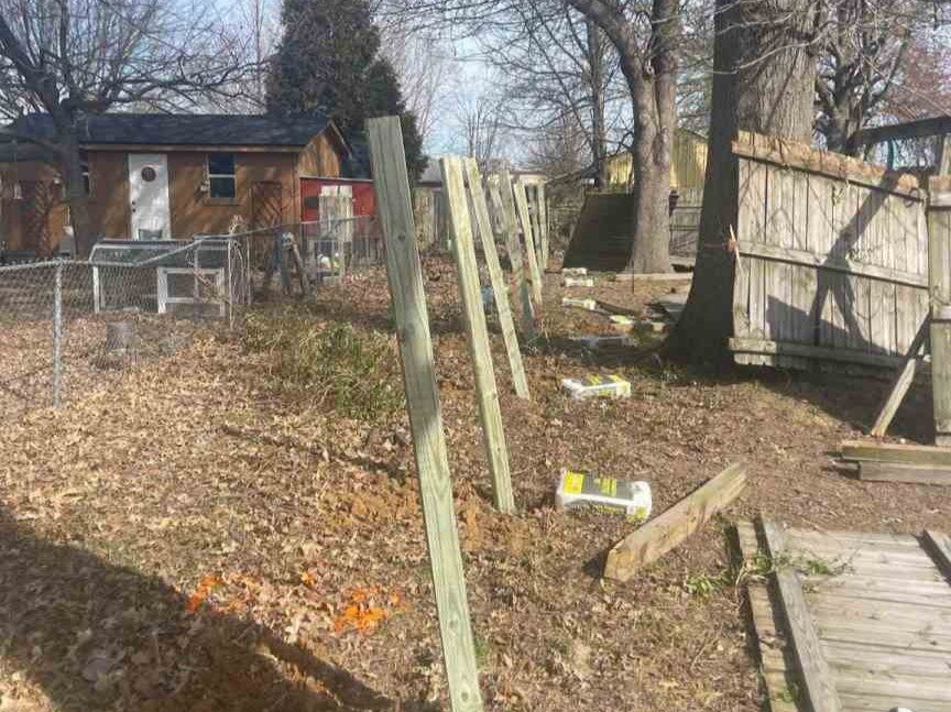 Luchos Tree Services